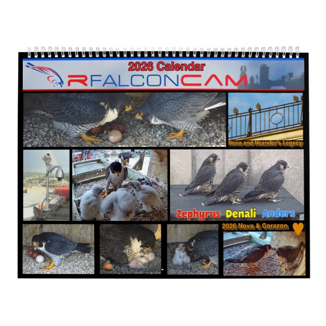 2026 Rfalconcam Calendar Kalender (Titelbild)