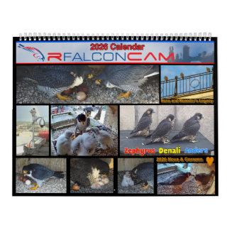 2026 Rfalconcam-Kalender Kalender