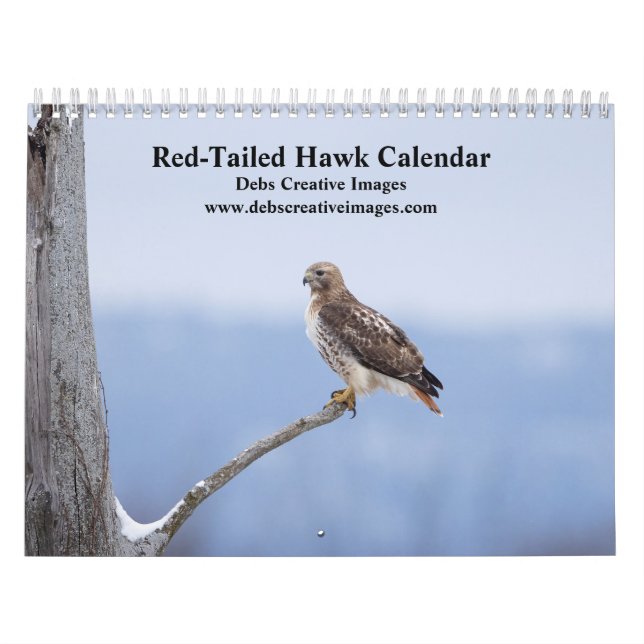 2026 Rot-Schwanz-Falken im Hudson-Tal Kalender (Titelbild)