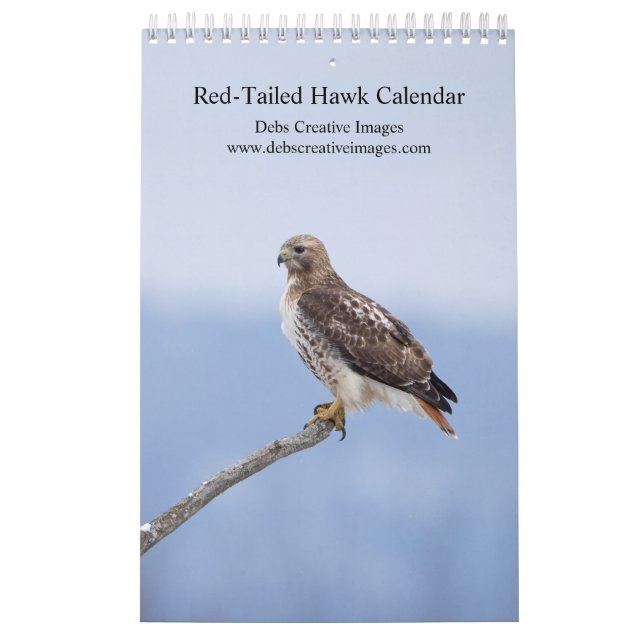 2026 Rotschwanzfalken Kalender (Titelbild)
