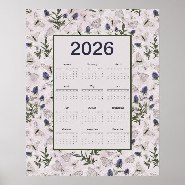2026 Schmetterlinge Distel Wandkalender Poster (Vorne)