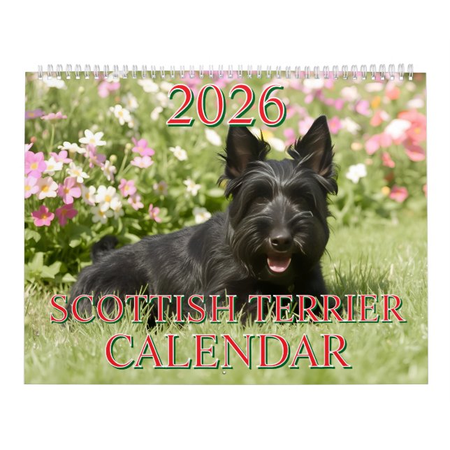 2026 SCHOTTISCHER TERRIER KALENDER (Titelbild)