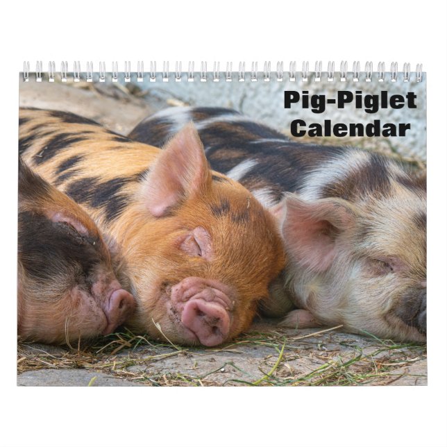 2026 Schwein-Ferkel-Kalender Kalender (Titelbild)