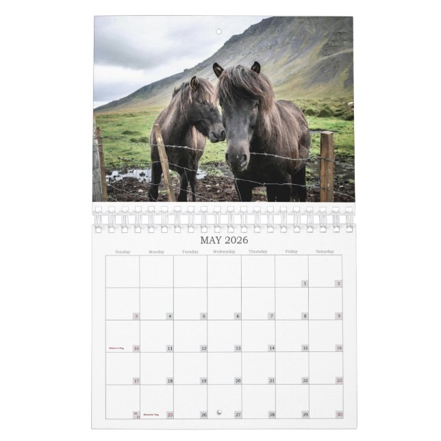 2026 SIMPLE HORSES CALENDAR KALENDER (Mai 2026)