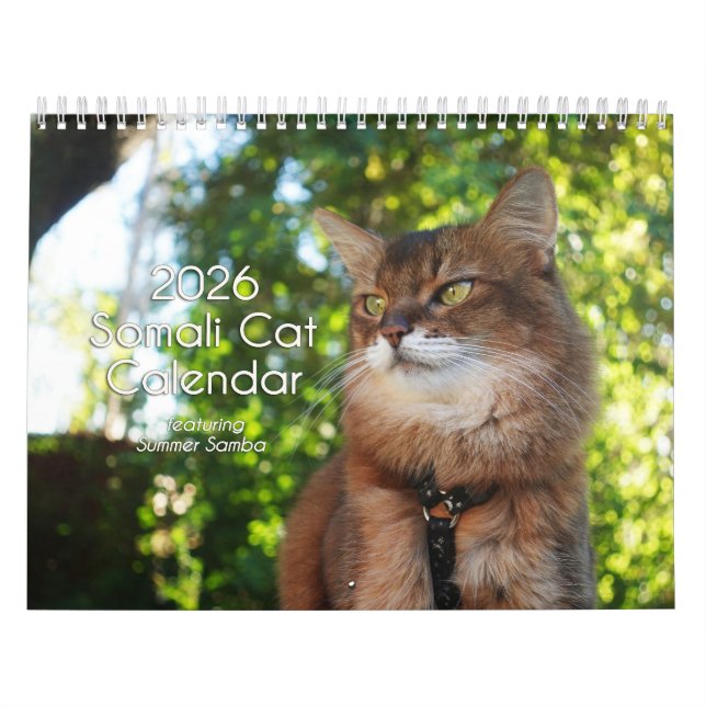 2026 Somali Cat Calendar Featuring Summer Samba Kalender (Titelbild)
