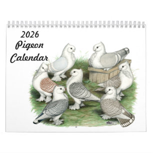 2026 Taubenkalender Kalender