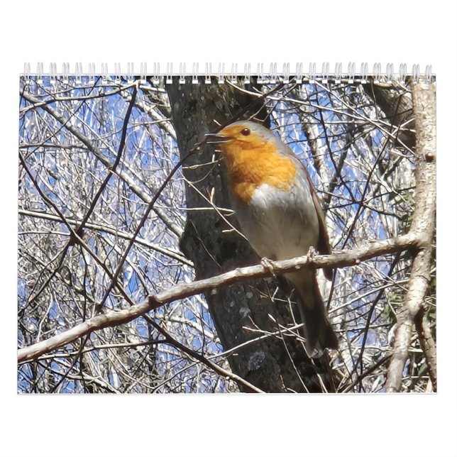 2026 Travel Notes Calendar Kalender (Titelbild)