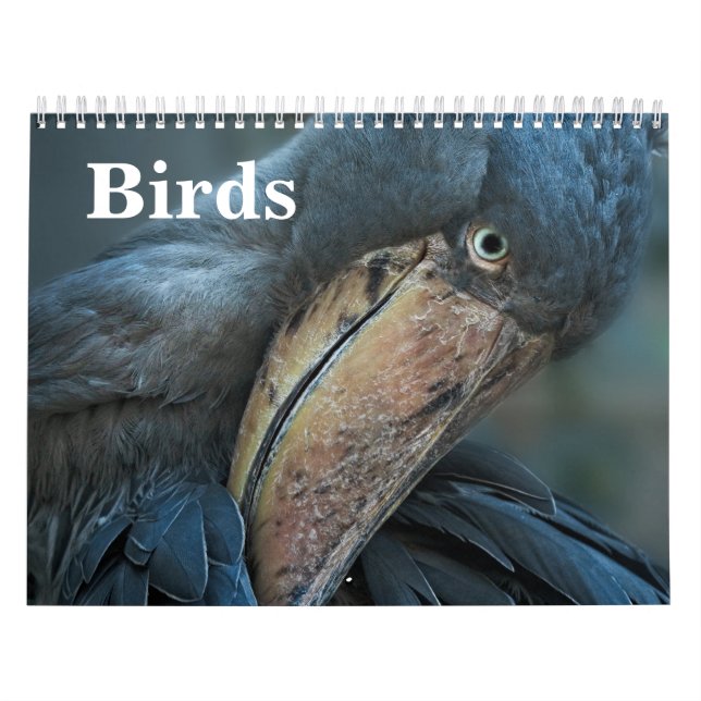 2026 Vögel Kalender (Titelbild)