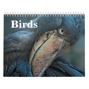 2026 Vögel Kalender