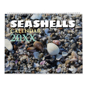 2026 Wandkalender Meeresmuscheln Geschenk