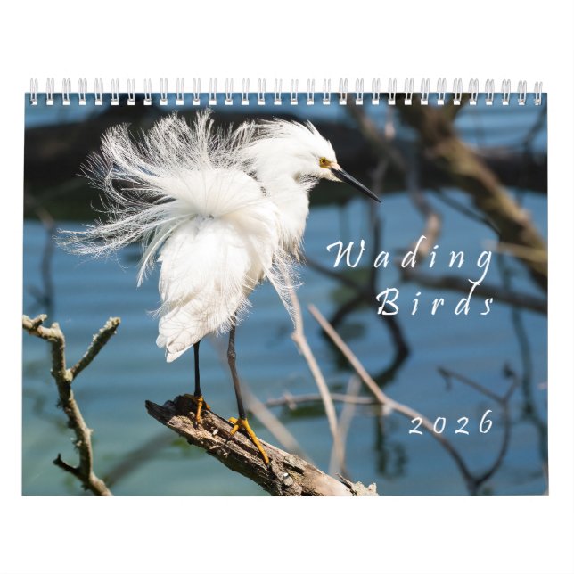 2026 Watvögel Original-Fotokalender Kalender (Titelbild)