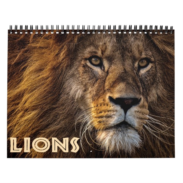 2026 Wilde Löwen Kalender (Titelbild)