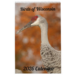 2026 Wisconsin-Vogelkalender Kalender