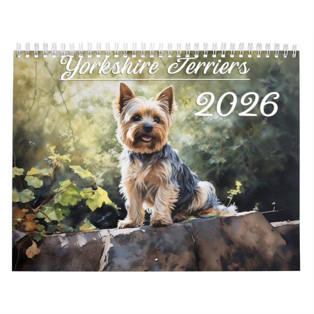 2026 Yorkshire Terriers Kalender (Titelbild)