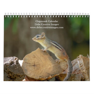 2027 Adirondack-Streifenhörnchen Wald-Fotografie Kalender