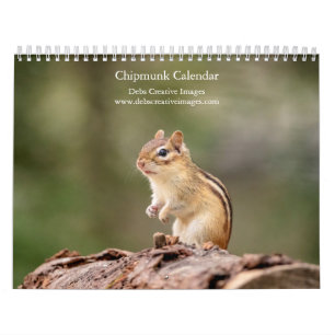 2027 Adirondack-Streifenhörnchen, Wald-Wildtier-Fo Kalender