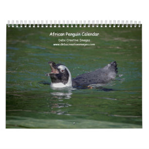 2027 Afrikanische Pinguine Südafrikanische Tierw Kalender