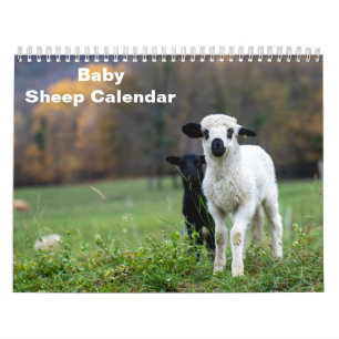 2027 Baby-Schaf Lamm Kalender