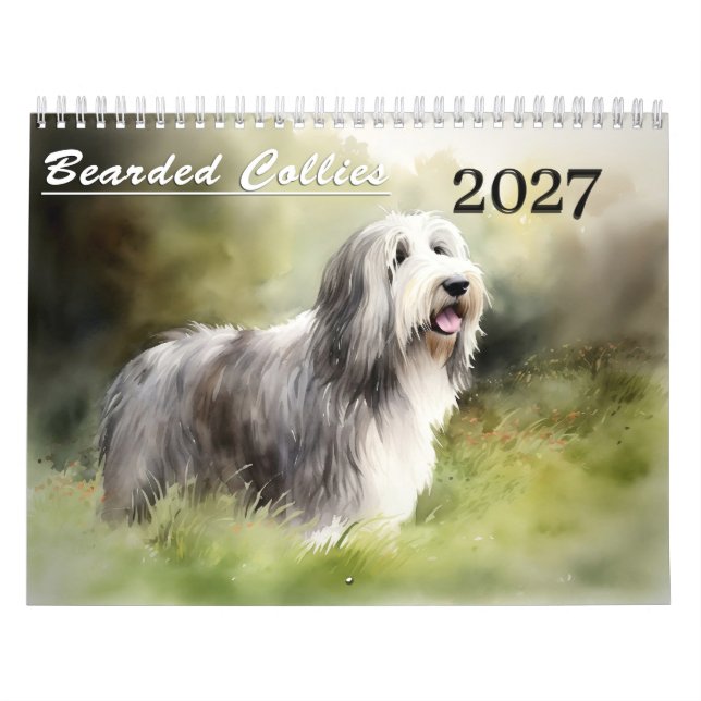 2027 Bartcollie-Kalender Kalender (Titelbild)