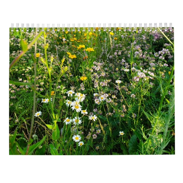 2027 Blumenvorhersage  Kalender (Rückseite)