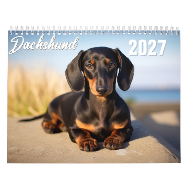2027 Dachshund Kalender (Titelbild)