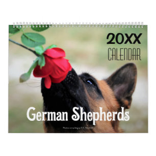 2027 Deutscher Schäferhund Wand Kalender