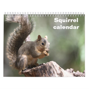 2027 Eichhörnchen Kalender