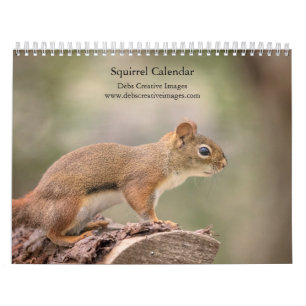 2027 Eichhörnchen   Wald-Wildtierfotografie Kalender