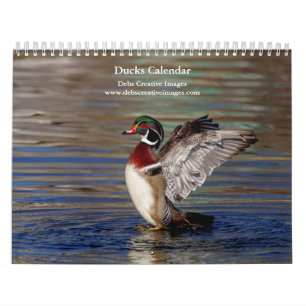 2027 Enten von New York Wasservogel-Fotografie Kalender