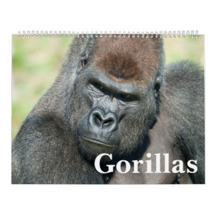 2027 Everlasting Gorilla-Kollektion Kalender