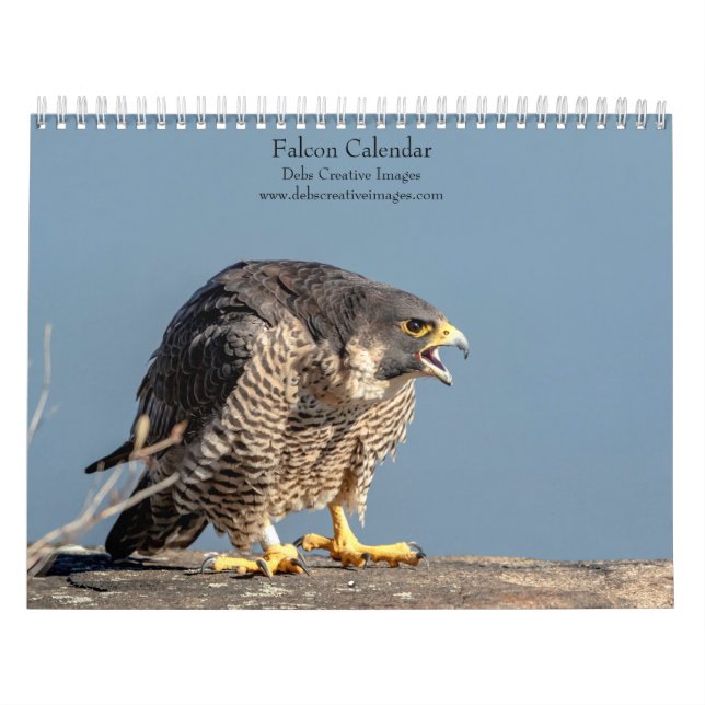 2027 Falken | Meister der Geschwindigkeit und des  Kalender (Titelbild)