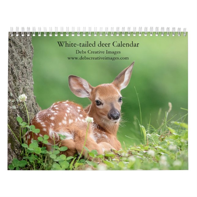 2027 Familie Weißwedelhirsche | Waldtiere Kalender (Titelbild)