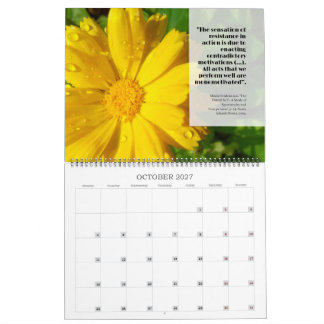 2027 Feldy-Kalender: Ein Jahr in Blüte Kalender