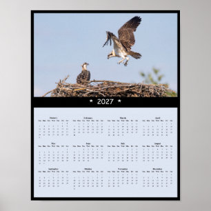 2027 Fischadler-Wandkalender - Küstenvögel Poster