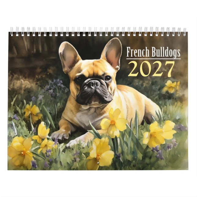 2027 Französische Bulldogge Kalender (Titelbild)