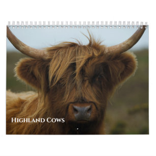 2027 Geliebtes Highland-Rind-Foto Kalender