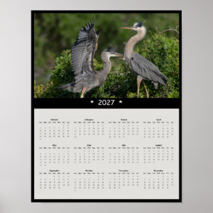 2027 Great Blue Heron Wandkalender Stiller Jäger Poster