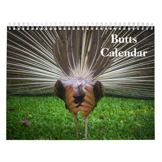 2027 Hintern Kalender (Titelbild)