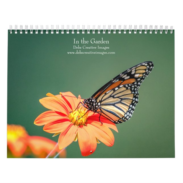 2027 Im Garten | Schmetterlinge & Kolibris Kalender (Titelbild)