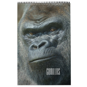 2027 Immerwährende Twycross-Gorilla-Familie Kalender