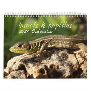 2027 Insekten- und Reptilien-Kalender Kalender