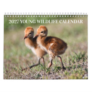 2027 Kalender Jungtiere in freier Wildbahn