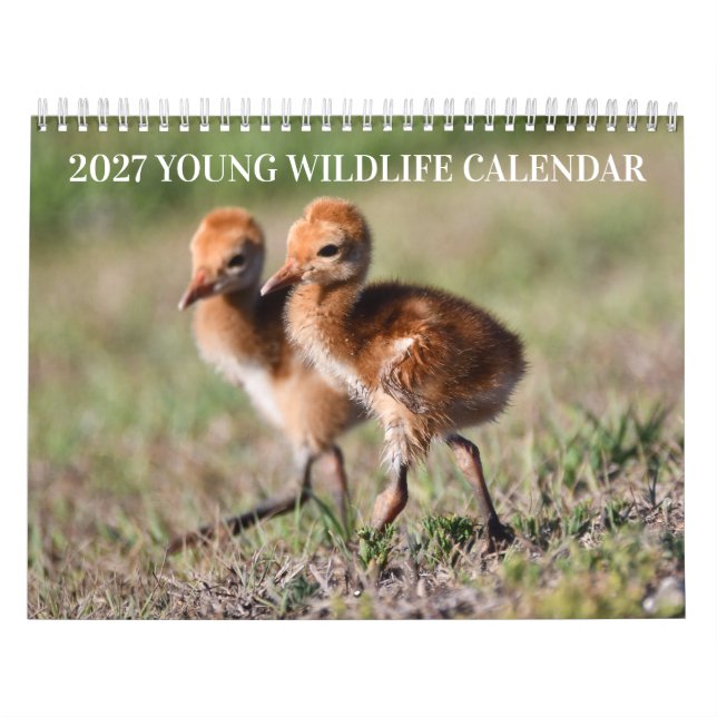 2027 Kalender Jungtiere in freier Wildbahn (Titelbild)