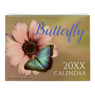 2027 Kalender mit Schmetterlingen Schmetterling