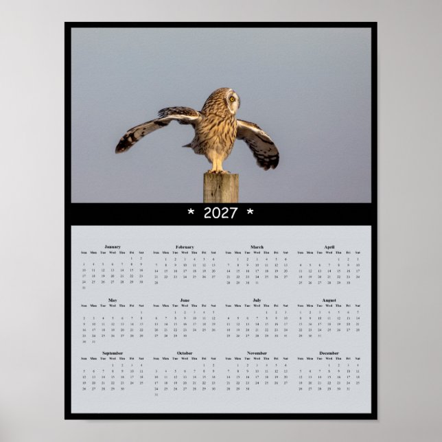 2027 Kalender Sumpfohreule - Stiller Flug Poster (Vorne)