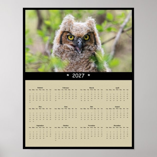 2027-Kalender Virtuoser Uhu: Weiser Wächter Poster (Vorne)