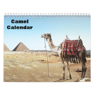 2027 Kamel-Kalender Kalender