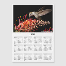 2027 Kolibri 5x7" Magnetischer Mini-Kalender