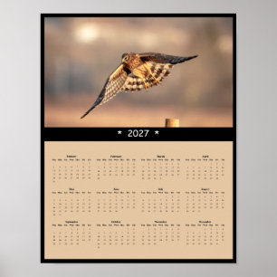 2027 Kornweihe-Wandkalender Eulenbussard Poster