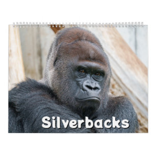 2027 Legendäre Silberrücken-Gorilla-Fotografie Kalender